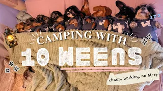 I WENT CAMPING WITH 10 WEENS!