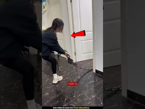 ¡El mini perrito que sorprendió a todos! 🤯 #shorts