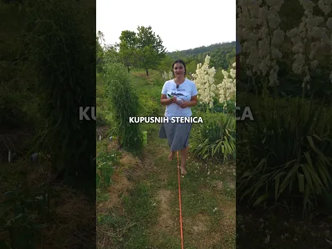 CIMET Protiv SMRDIBUBA
