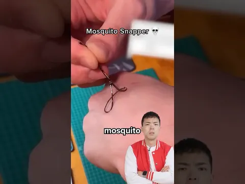 I Tested the Mosquito Snapper
