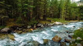 Calming Sounds Background for Massage,Meditation,Relaxation,Stress relief#nature#relaxing #beautiful