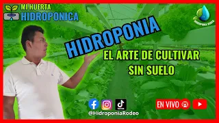 Hidroponia el arte de cultivar sin suelo