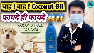 वाह ! वाह ! Coconut Oil For Dogs | Shocking Result😱 | Best Natural Product जो कभी धोखा नहीं देगा 😱👇