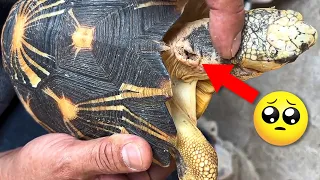 Increíble rescates de animales captados en camara! 😱