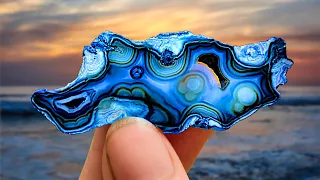 You WON'T Believe the INCREDIBLE Agates that Formed INSIDE These Corals! (+ FL Foraging & Fishing)
