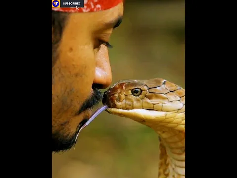 सांप काटले तो ये गलती कभी मत करना | Avoid These Mistake When Snake Bite You | #shorts