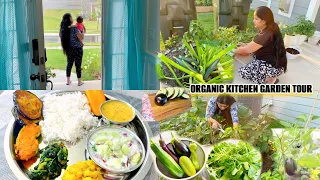 👩‍🌾OUR ORGANIC VEGETABLE 🪴 HARVESTING 👩‍🍳COOKING 😋LUNCH🍱WITH MY GARDEN PRODUCE🥳