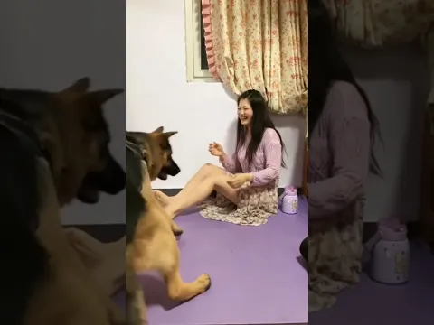 funny dog fight with mom want some food #funnydog