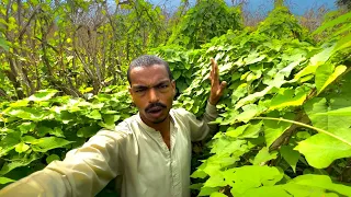 Yar yeah kheet mein kia agya | farhan azam vlogs