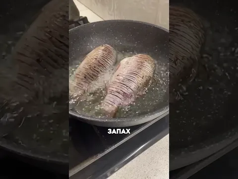 Япония живет в 2050 😯