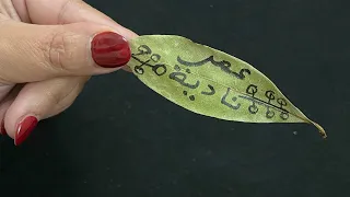 إذا أردت أن تجعل شخص يحبك حبا شديدا ويطيعك طاعة عمياء احرقي اسمه في ورق الغار وبعد ثواني سيتصل بك