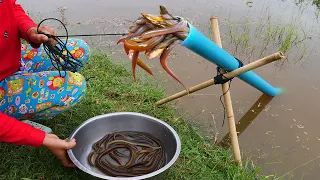 Survival Skills: Believe This Fishing? Trapping Tool Using PVC Long tube to lure Eel That Work 100%