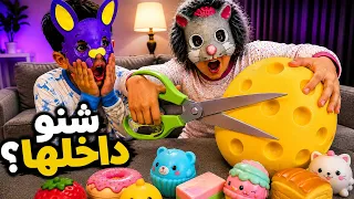 قصينا السكوشي النادر.. وش لقينا داخله ! 😳