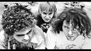 Melvins - Rabbit's Revenge (Live 1984)