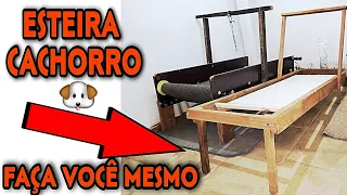 Fiz uma Esteira pra Cachorro com Madeira Descartada da Madeireira Carpetmill super Resistente #bulls