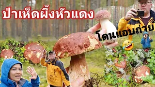 ป่าเห็ดผึ้งหว๊านหวานๆกับพี่ติ๊ก งานนี้ฮาาา หนัก⚠️🤣🤣🤣12.9.2021 🇫🇮