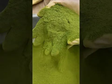 Moringa Powder: India's Next Big Export Sensation! #shorts #plants #farming