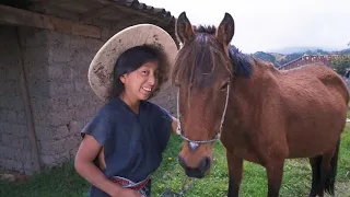 MI NUEVO TRANSPORTE /Rápido y furiosa