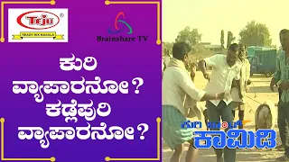 Kuribond 271 | ಕುರಿ Business ಸೂಪರ್ | New Kuribond Video |