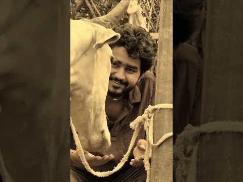 हर गौ माता इस समस्या से जूझती है तो आप भी ध्यान रखिए और पड़ोसियों का भी रखिए। जय गौ माता 🙏❣️
