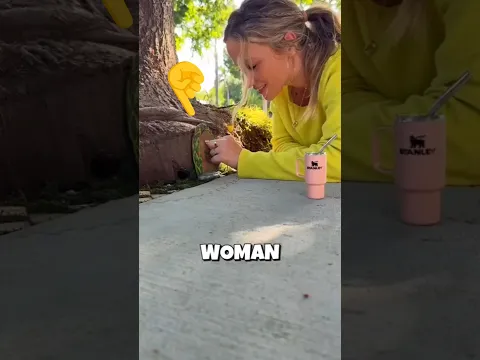 She Built a Fairy House ʚɞ 🏠
