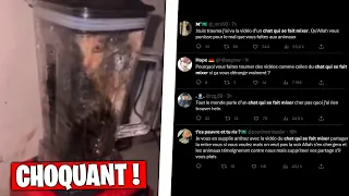La Vidéo Du Chat Qui A Choquer TOUT LE MONDE...