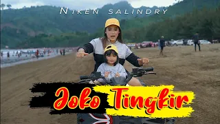 NIKEN SALINDRY - JOKO TINGKIR