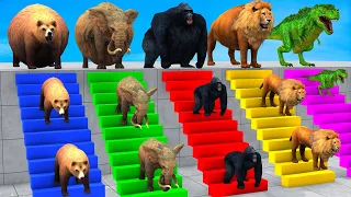 5 Giant Duck Cartoon🐥 Cow, Giraffe, Elephant, Lion, Paint Wild Animals Crossing Fountain Animal Game