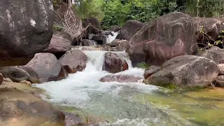 Relaxing sound water fall in forest