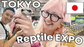 Tokyo Reptiles & Exotic Pets Expo! Let's Compare Prices!