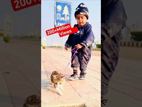 बिल्ली ने इस बच्चे को रुला दिया 🥺 Billi Ne is Bacche ko Rula Diya #trending #shorts #g_factz