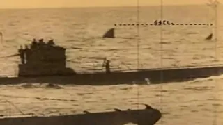 10 Scary Shark Sightings That People Thought Were The Megalodon