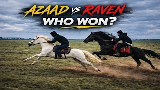 Who Won? 😱 Arabian or Friesian? 🐎 Azaad vs Raven, Punjabi Horse Life in California 🇺🇸 Vlog 4