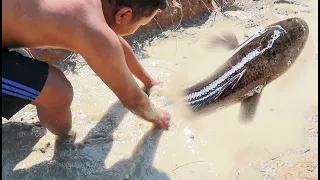 Survival man fishing cooking on rice field
