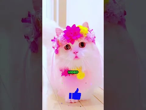 Ha fatto il trucco da barbiere perfetto! 🤯😂 #viral #shorts