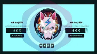 نظره شامله حول مشروع  voltinu