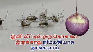 இனி கொசு தொல்லை இல்லை அருமையான ஐடியா | natural mosquitoes repellent | kosu thollai poga tips