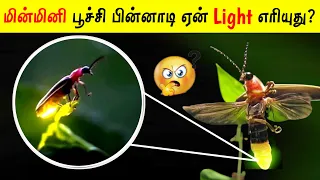 மின் மினி பூச்சி பின்னாடி ஏன் Light எரியுது? | Facts Ulagam_Fact In Tamil_Tamil galatta news