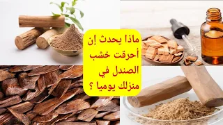 ماذا يحدث إن أحرقت خشب الصندل في منزلك يوميا ؟