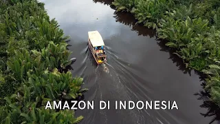 Terjebak di Tengah Habitat Buaya - Tanjung Puting