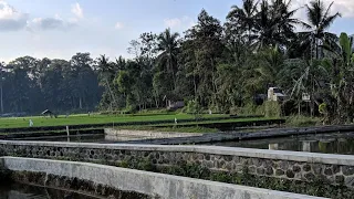 Mari bermain dan gembira bersama ♥️♥️♥️♥️