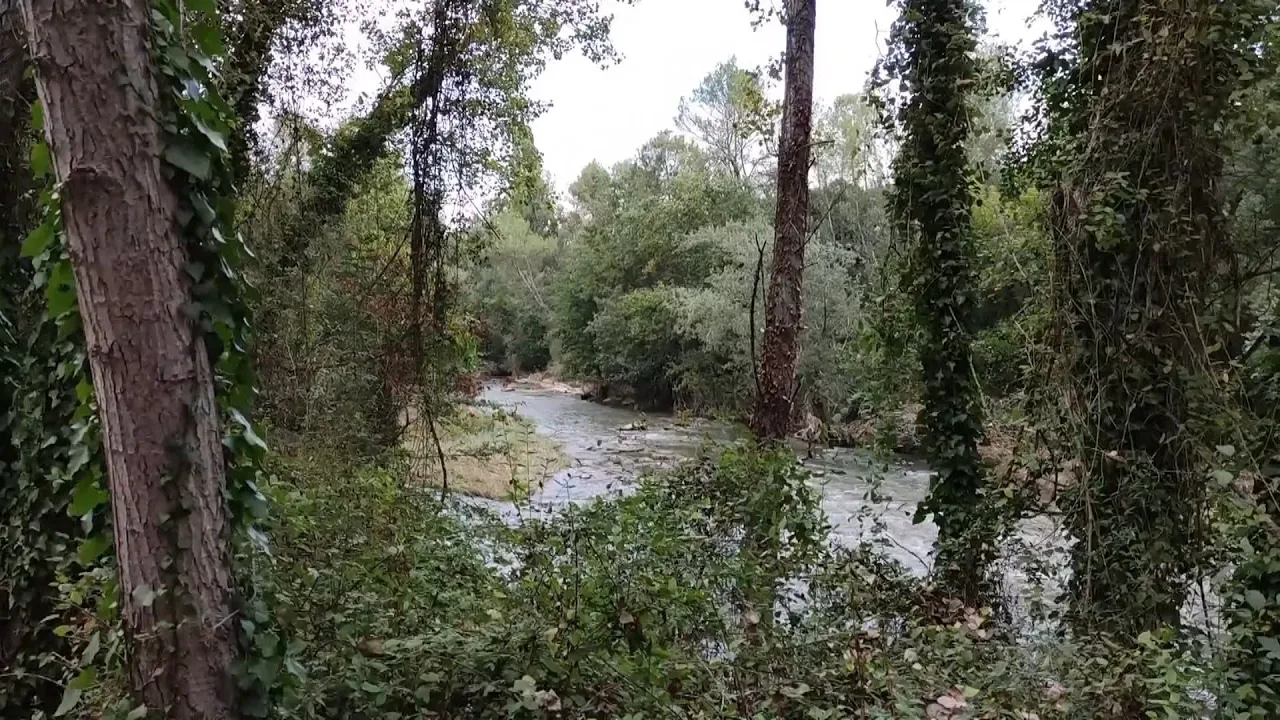 Osona ha perdut un 40% de la biodiversitat en 20 anys