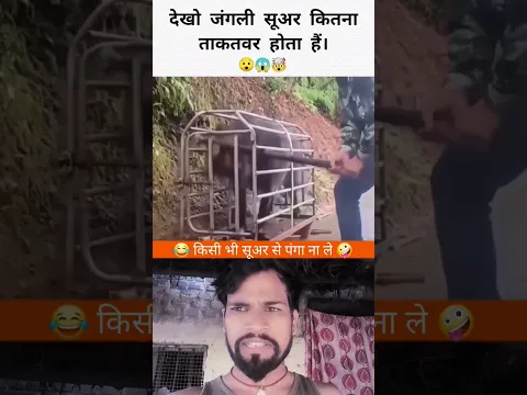 funny video clip फनी वीडियो क्लिप #youtubeshorts #trending #shorts #viral