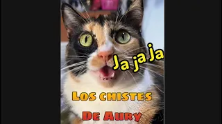 Ronda de chistes cortos