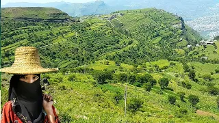 قال المغترب شوقي لكم ياعيالي - اقوا شيله معا الطبيعه -اهدا للمغتربين حصري