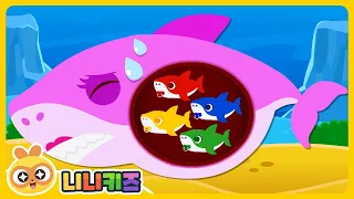[영어] 엄마 상어가 아파요! | 아기를 낳아요 | 아기 상어 | 색깔놀이 | 니니키즈 NINIkids