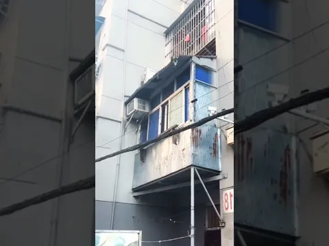 高所から落ちそうな猫を助ける