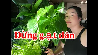 🟢 HÃY MINH BẠCH - RÕ RÀNG