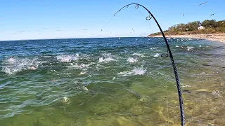 EPIC Surf Fishing Frenzy on Deserted Beach - Thousands of Fish!