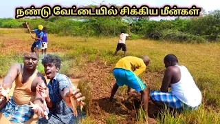 Amazing hand fishing & cooking|சேற்றில் மீன் வேட்டை🐟Traditional fish catching @Adventures Of Venu